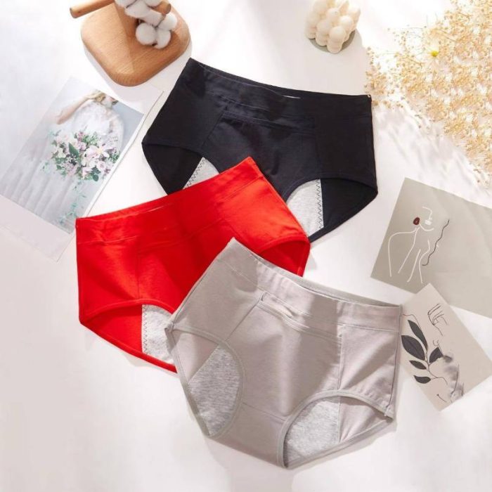 Leak Proof Menstrual Period Underwear with Warming Pocket - Image 1