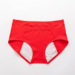 Leak Proof Menstrual Period Underwear with Warming Pocket - Image 5