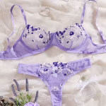 China Transparent Bra Panty Set - Image 7