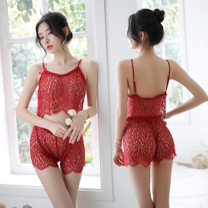 Transparent Sexy Lace Nightgown Set - Image 1